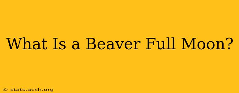 What Is a Beaver Full Moon?