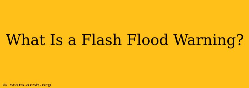 What Is a Flash Flood Warning?