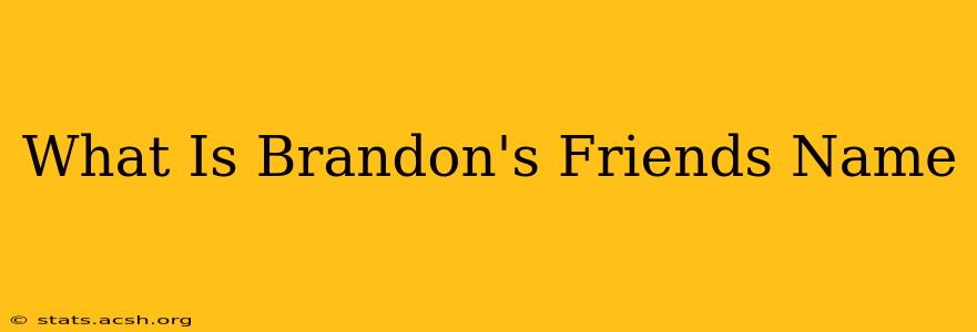 What Is Brandon's Friends Name