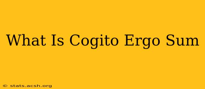 What Is Cogito Ergo Sum