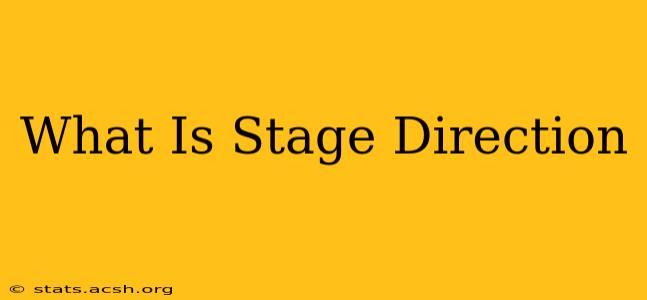 What Is Stage Direction