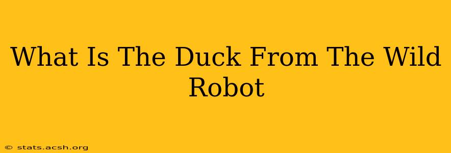 What Is The Duck From The Wild Robot