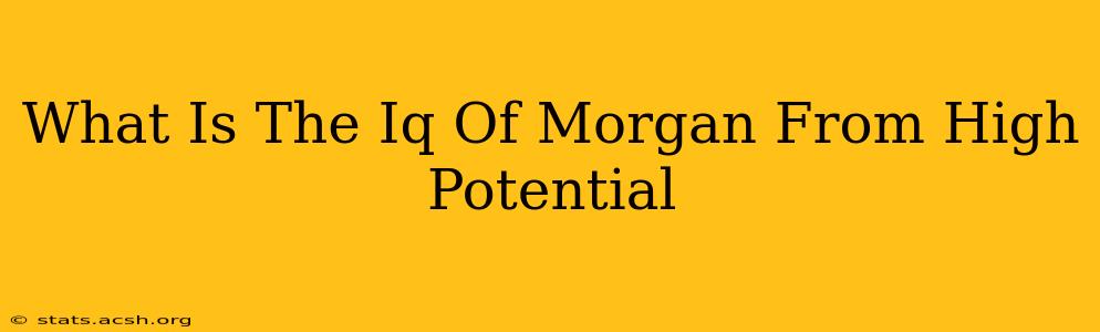 What Is The Iq Of Morgan From High Potential