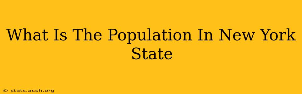 What Is The Population In New York State