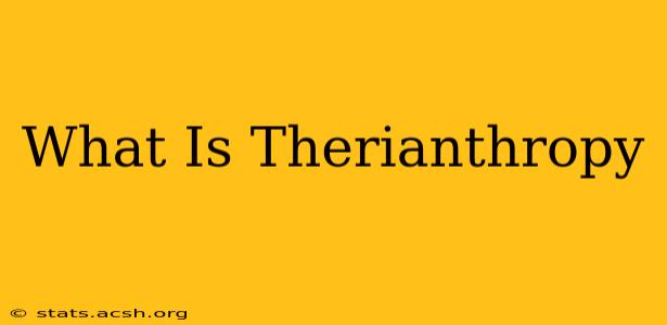 What Is Therianthropy