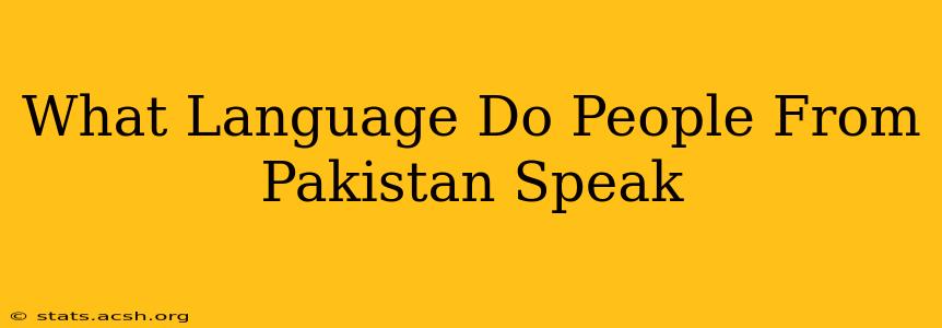 What Language Do People From Pakistan Speak