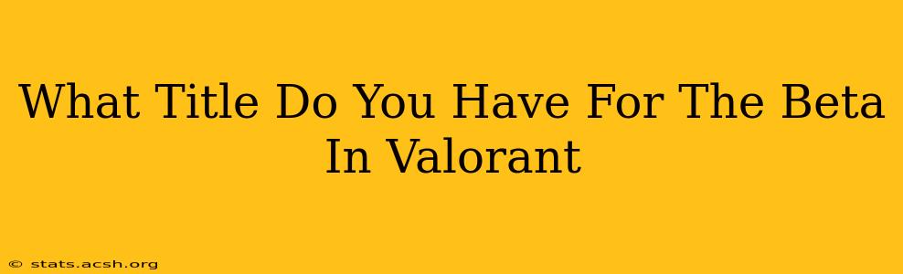 What Title Do You Have For The Beta In Valorant