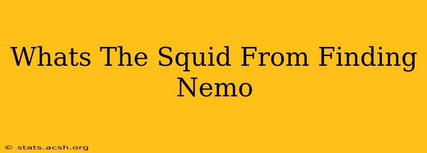 Whats The Squid From Finding Nemo