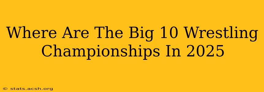 Where Are The Big 10 Wrestling Championships In 2025