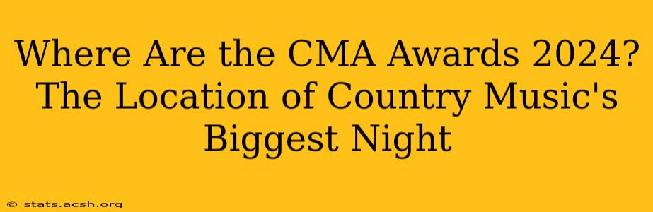 Where Are the CMA Awards 2024? The Location of Country Music's Biggest Night