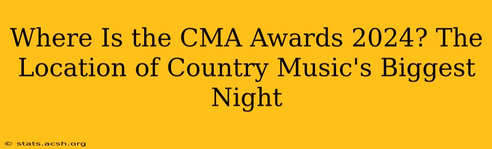 Where Is the CMA Awards 2024? The Location of Country Music's Biggest Night