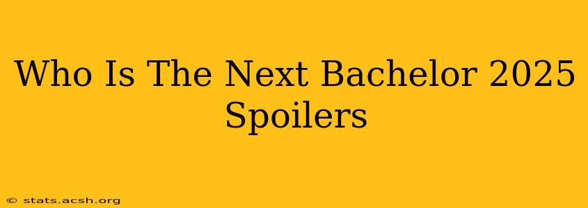 Who Is The Next Bachelor 2025 Spoilers