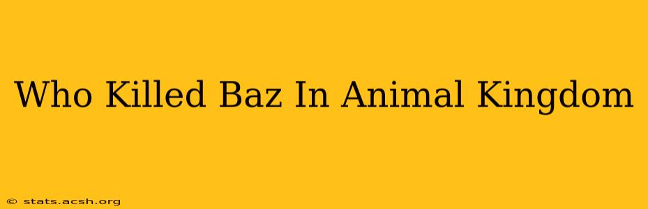 Who Killed Baz In Animal Kingdom