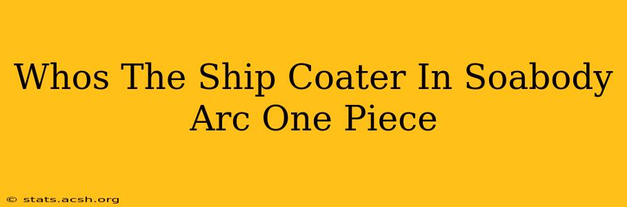 Whos The Ship Coater In Soabody Arc One Piece