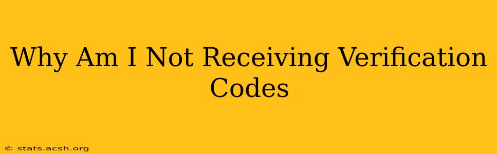 Why Am I Not Receiving Verification Codes