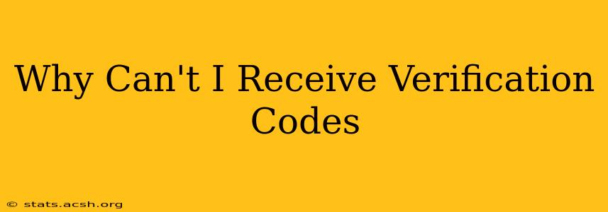 Why Can't I Receive Verification Codes