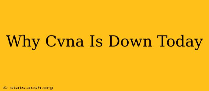 Why Cvna Is Down Today