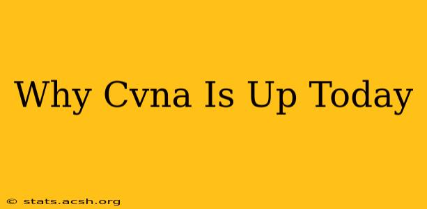 Why Cvna Is Up Today