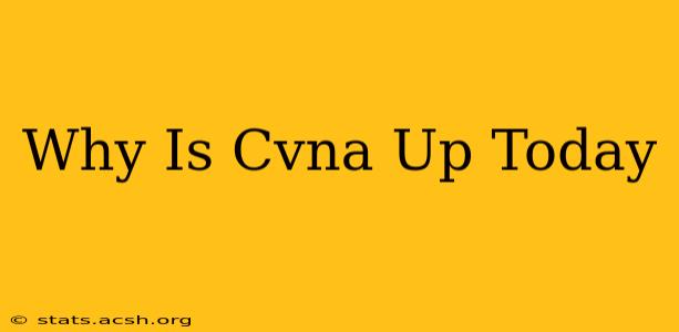 Why Is Cvna Up Today