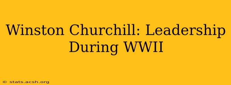 Winston Churchill: Leadership During WWII