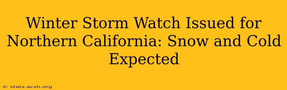 Winter Storm Watch Issued for Northern California: Snow and Cold Expected