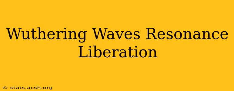 Wuthering Waves Resonance Liberation