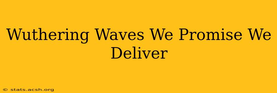 Wuthering Waves We Promise We Deliver