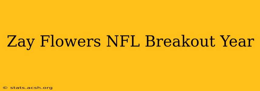 Zay Flowers NFL Breakout Year